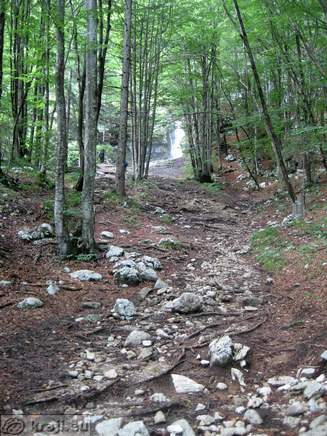 Path in the forest to the Mostnice Waterfall