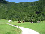 Voje - Road and houses in Voje Valley 