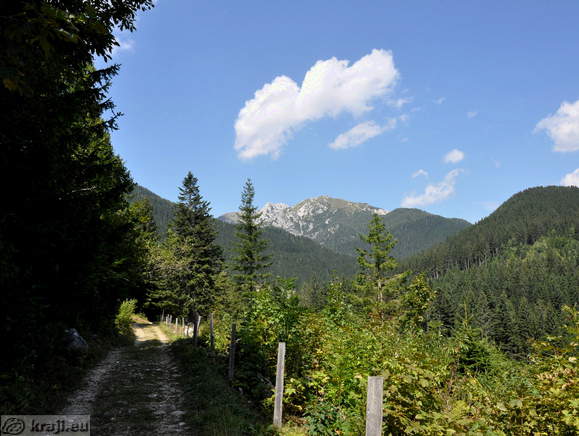 Pot proti planini Konjščica