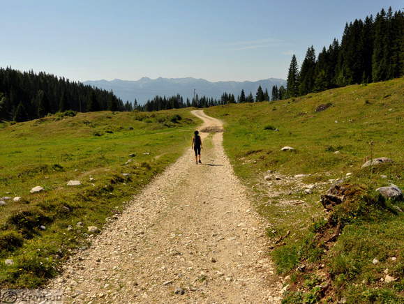 Höhenweg: Rudno polje-Uskovnica