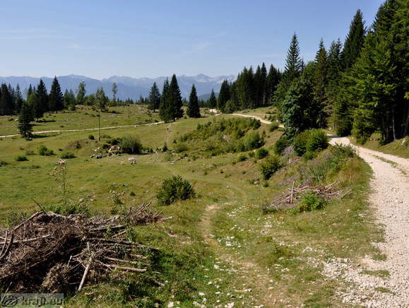 Höhenweg: Rudno polje-Uskovnica