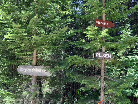 Höhenweg: Rudno polje-Uskovnica