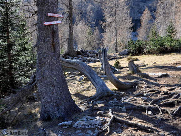 Höhenweg: Rudno polje-Visevnik