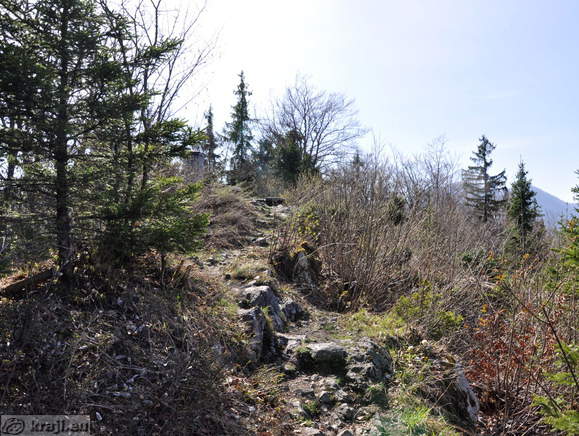 Prihod na vrh Vodnikovega razglednika