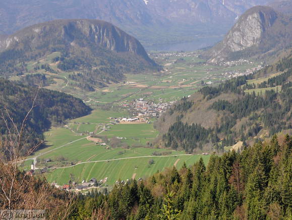 Zgornja Bohinjska dolina