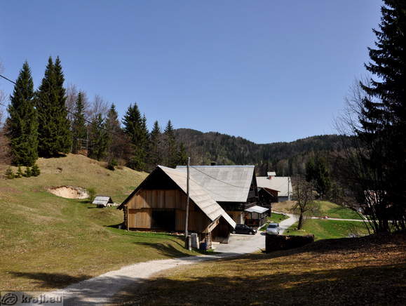 Pogled v smer proti Koprivniku pred vstopom v gozd