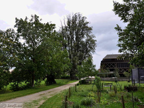 Cerklje na Gorenjskem - Plague column and linden tree