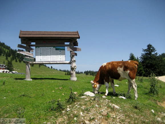 Informativna tabla pri Kriški planini