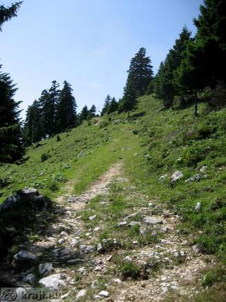 Peš pot proti Krvavcu