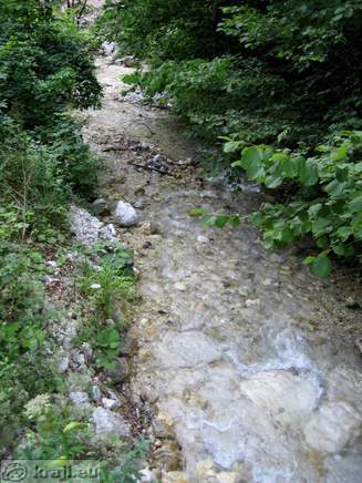 Potok Reka v bližini spodnje postaje kabinske žičnice