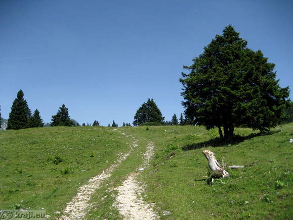 Peš poti v okolici Peš poti v okolici