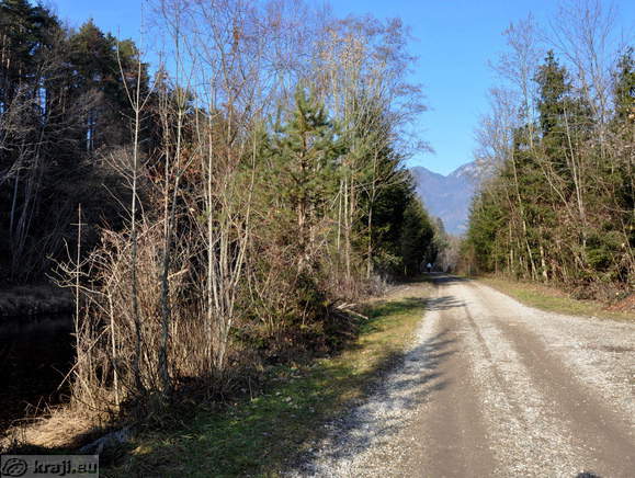 Peš pot in kolesarska pot ob reki Kokri
