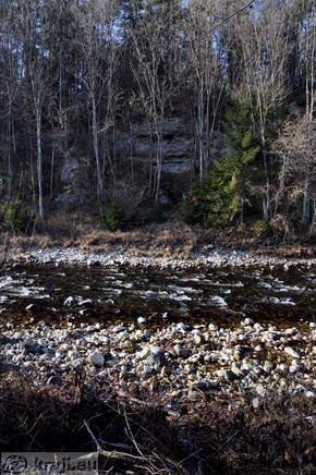 Reka Kokra in konglomerat v ozadju