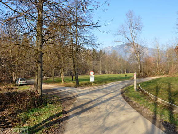 Pogled nazaj na travnik