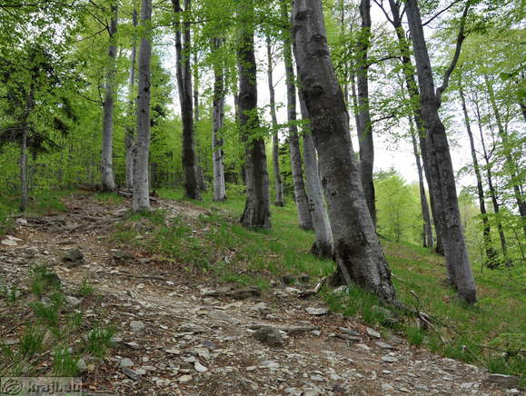 Vzpon proti Blegošu