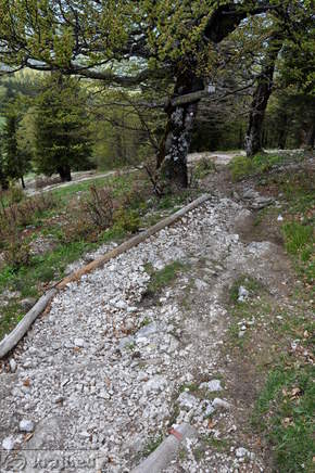 Pot z vrha Blegoša proti koči