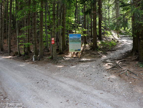 Cesta proti Koči na Blegošu in peš pot