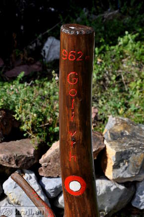 Goli vrh 962 m