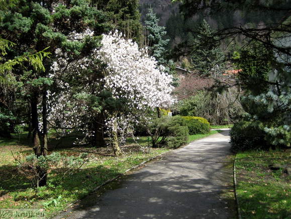 Pleasant walk in the Memorial Park