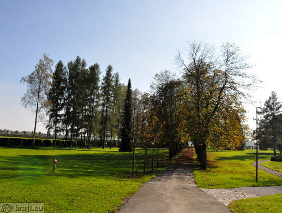 Avenue planted with trees on both sides