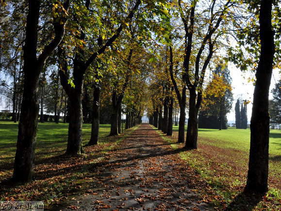Promenade near Castle Brdo