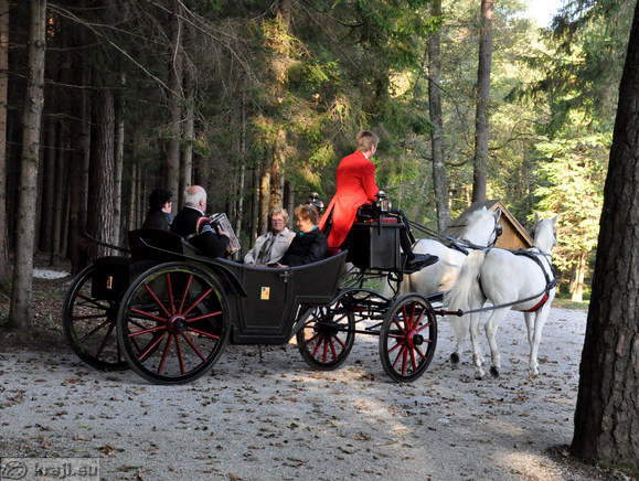 Vožnja s kočijo ob Račjem otoku