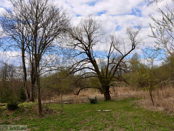 Arrival to the Ledvica Pond