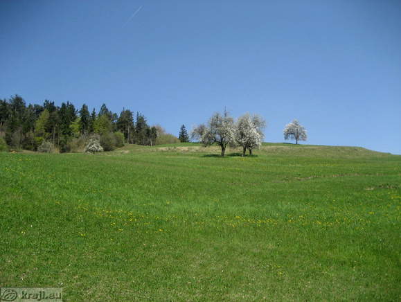 Travnik