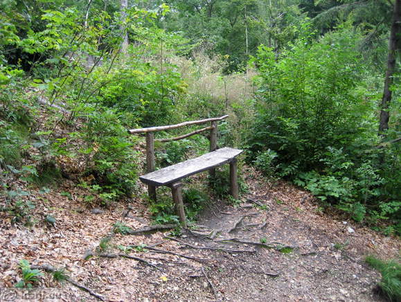 Klopca ob poti