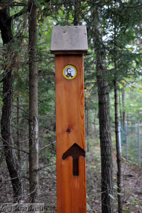 Usmerjevalna tabla s podobo Simona Jenka