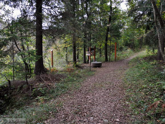 Življenski prostor sten kanjona