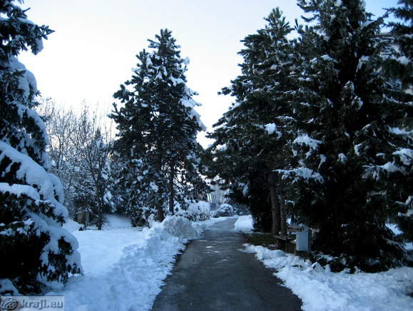 Zlato polje walking path