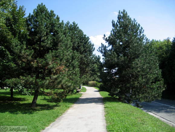 Zlato polje walking path