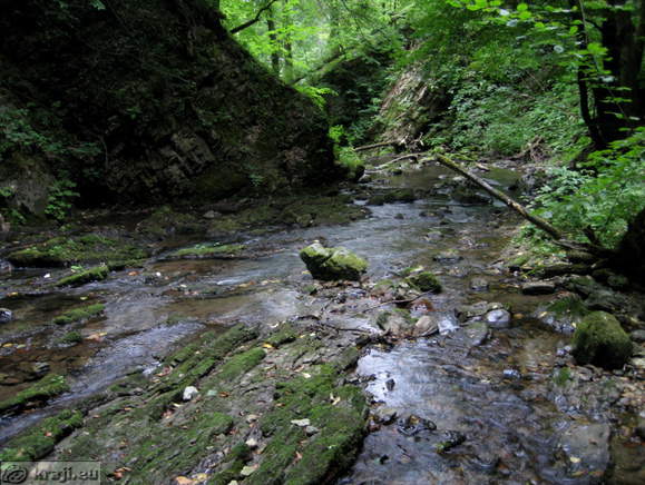 Nemiljscica Brook