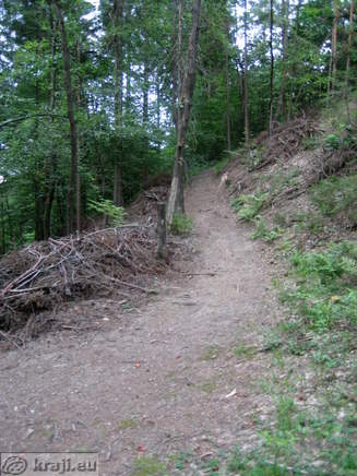 Look back on the path