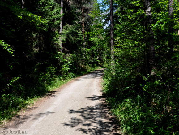 Cesta iz naselja Cegelnica v Udin boršt