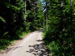 Udin borst - Road from settlement Cegelnica to Udin borst 