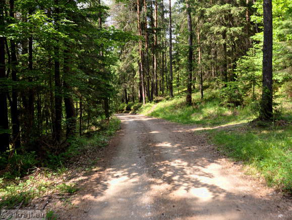 Cesta po Udin borštu