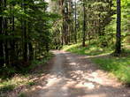 Udin borst - Road through Udin borst 