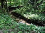 Udin borst - Stream 