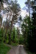 Udin borst - High trees 