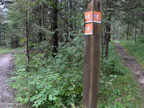 Arrival to the Triglavska Bistrica trail (left path on the photo is to the Mojstrana, the opposite direction is to the Pericnik Fall and Aljazem dom v Vratih mountain hut)