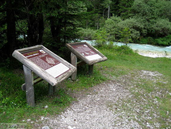 Mojstrana-Slap Peričnik <br> Informacijski tabli - Triglavska Bistrica in Obvodni ptiči