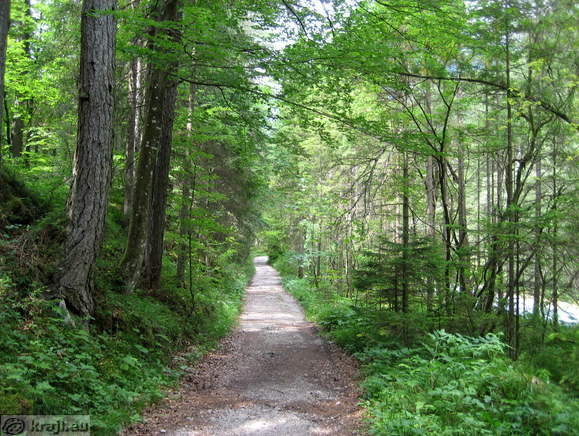 Footpath near Triglavska Bistrica