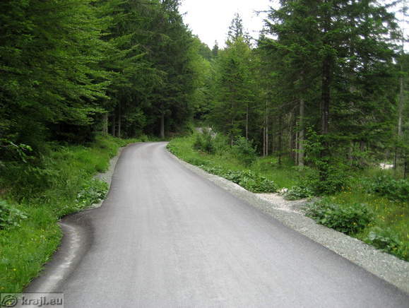 Road between Koca pri Pericniku Mountain Hut and Mojstrana