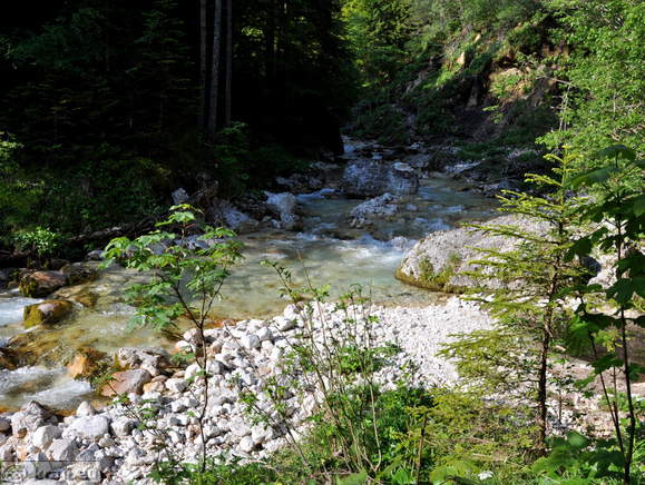 Pot Triglavske Bistrice