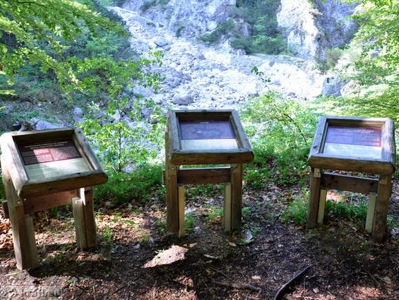 Informativne table - Značilnosti pobočja in gams