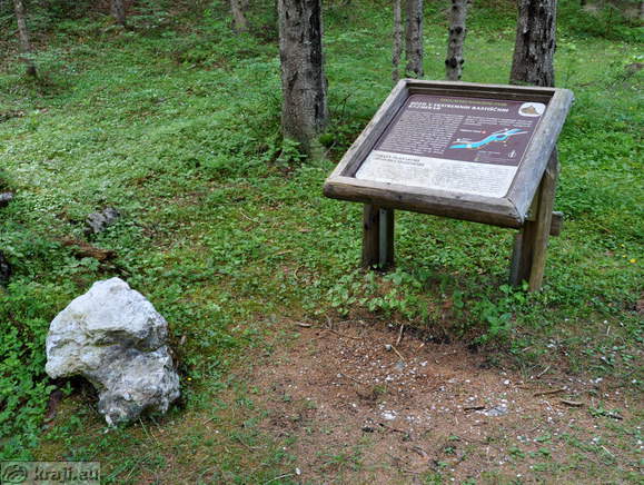 Informativna tabla - Gozd v ekstremnih rastičnih razmerah