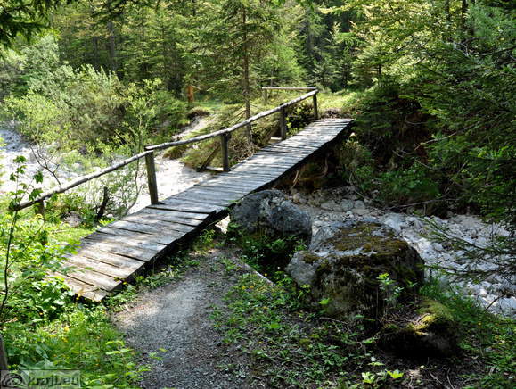 Brv čez strugo Triglavske Bistrice