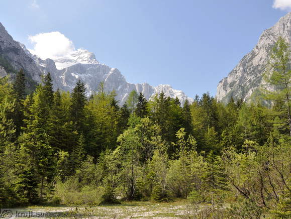 Severna stena Triglava